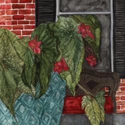 Porch Begonia watercolor painting