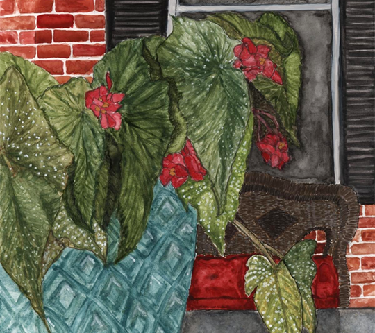 Thumbnail: Porch Begonia watercolor painting
