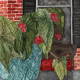 Thumbnail: Porch Begonia watercolor painting