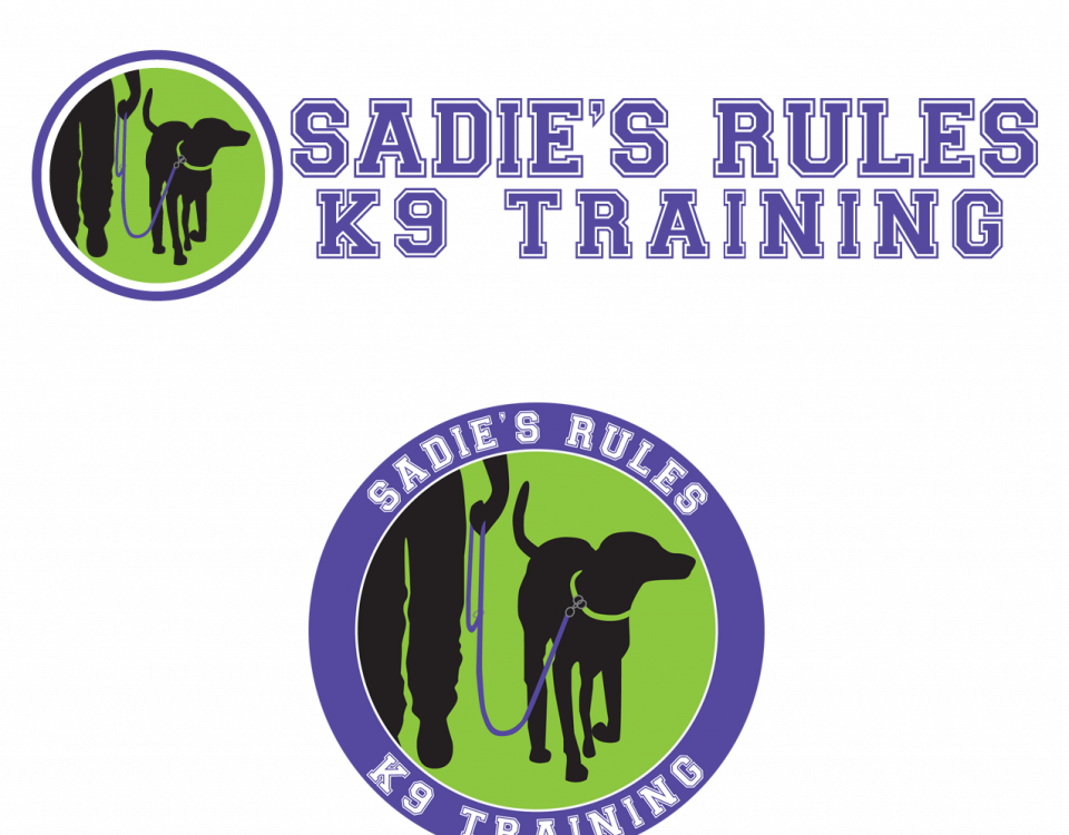 Thumbnail: Sadie's Rules logo