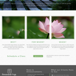 Shenandoah Yoga website - home page