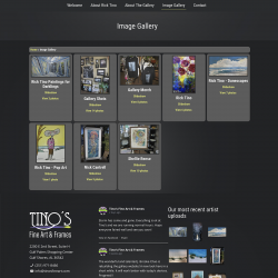 Tino's Fine Art & Frames website - Image Gallery