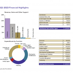 JMU Foundation Annual Report - Graphs and Charts
