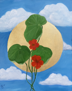 heavenly-nasturtium-072125-1200 Heavenly Nasturium